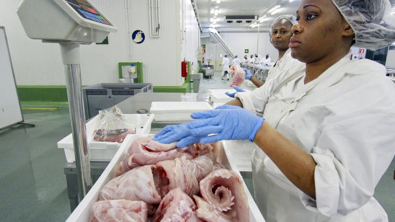 Gabon : rupture avec l&rsquo;Europe sur la pêche