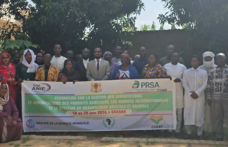 Le Tchad forme ses acteurs pour booster ses exportations agricoles