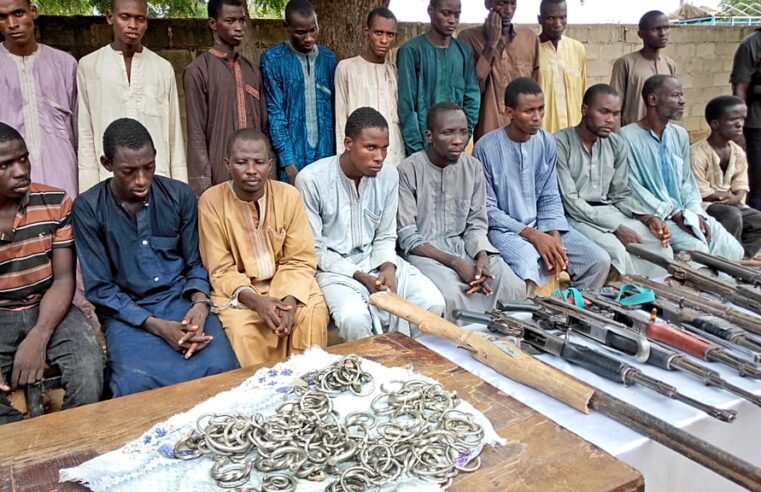 Nigeria : près de dix mille anciens djihadistes de Boko Haram réinsérés dans la société