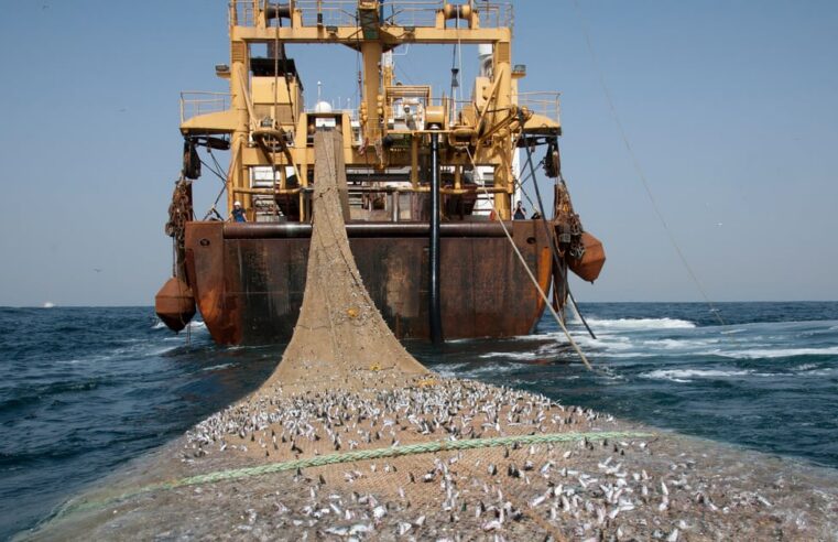 Pêche au Gabon : Libreville met un terme à l&rsquo;accord avec l&rsquo;Union européenne