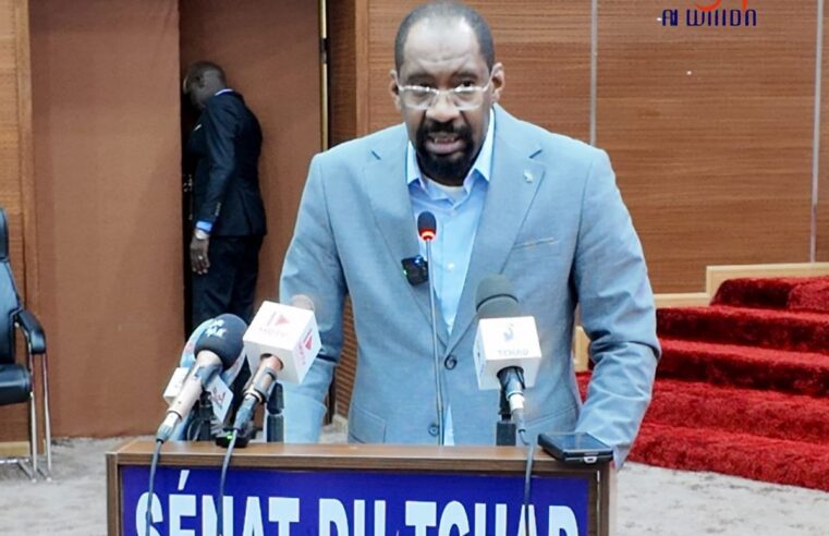 Tchad : le gouvernement face à la montée des violences intercommunautaires