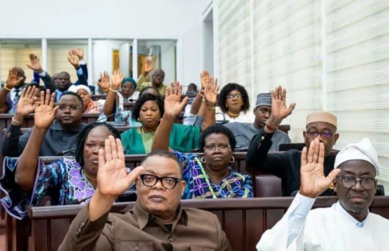 Les députés béninois en séance plénière ce mercredi à Porto-Novo
