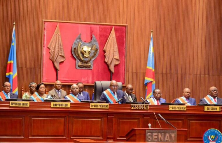 Référendum en RDC : le sénat examine en seconde lecture la proposition de loi