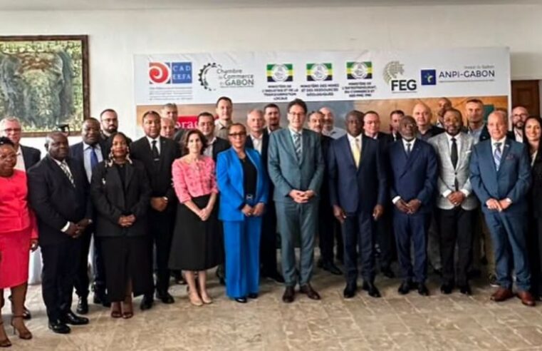Le Gabon mise sur l&rsquo;industrie pour valoriser ses ressources naturelles