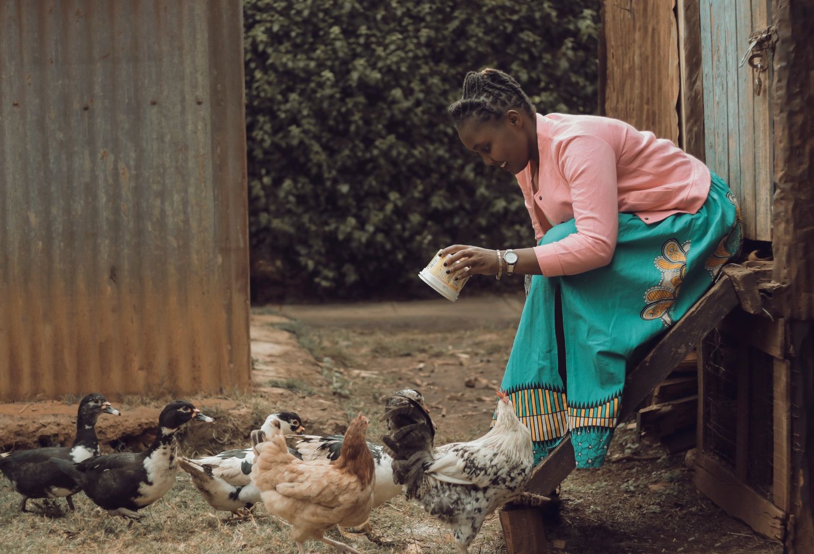SONOCO lance un projet avicole de 15 millions de poulets au Gabon