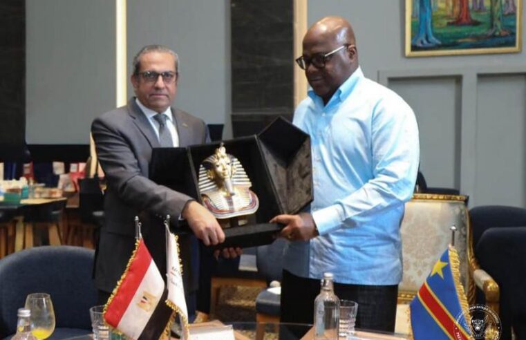 Félix Tshisekedi ordonne un plan de formation militaire avec l&rsquo;Égypte