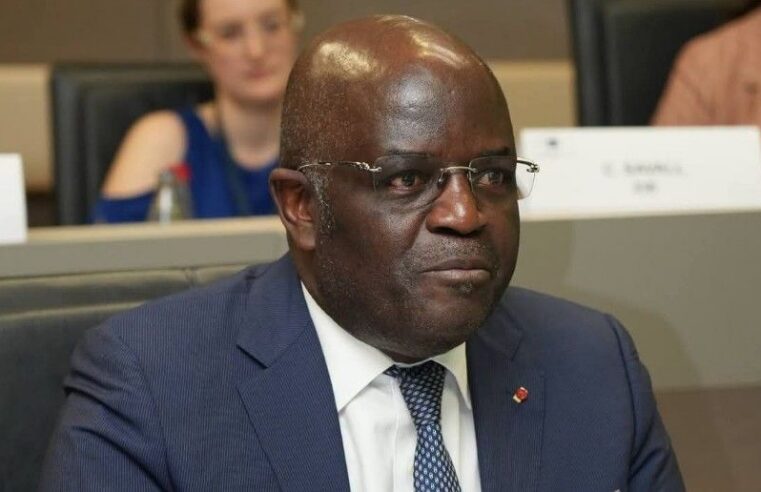 Valorisation locale des ressources au Gabon : un nouvel élan économique