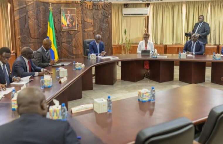 Gabon : un plan d&rsquo;action pour accélérer les projets financés par la BAD