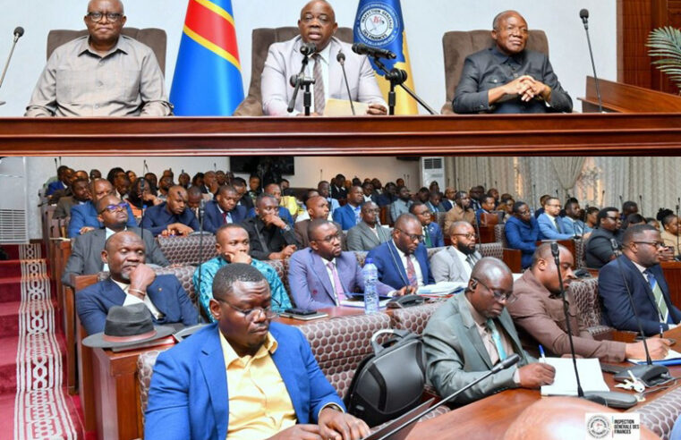 L&rsquo;IGF lance un audit approfondi des revenus miniers en RDC