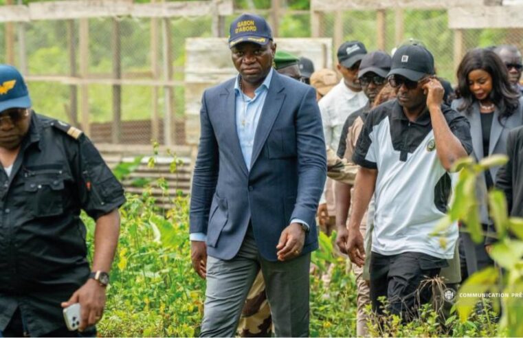 Gabon : Oligui Nguema dévoile un plan de 25 milliards de FCFA pour l&rsquo;autonomie agricole