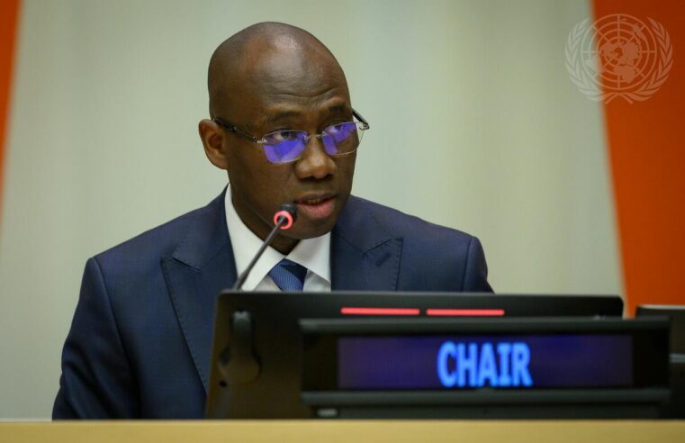 Le Sénégal à la tête d&rsquo;une commission clé de l&rsquo;ONU pour 2026