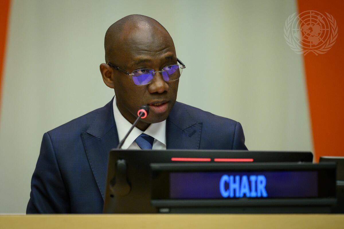 Le Sénégal à la tête d&rsquo;une commission clé de l&rsquo;ONU pour 2026