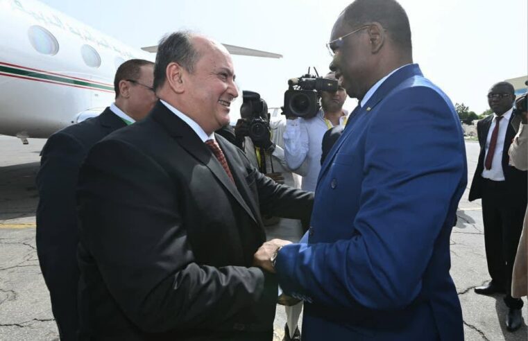Sifi Ghrieb en visite officielle au Tchad pour renforcer la coopération bilatérale