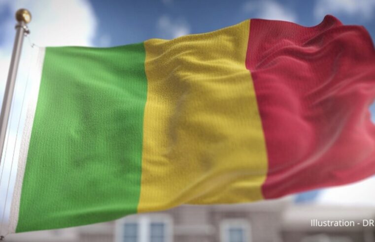 Condamnation agent français 20 ans prison Mali