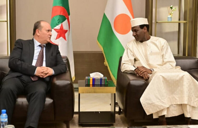 Algerie et Niger : une visite officielle axée sur l&rsquo;énergie et le développement mutuel