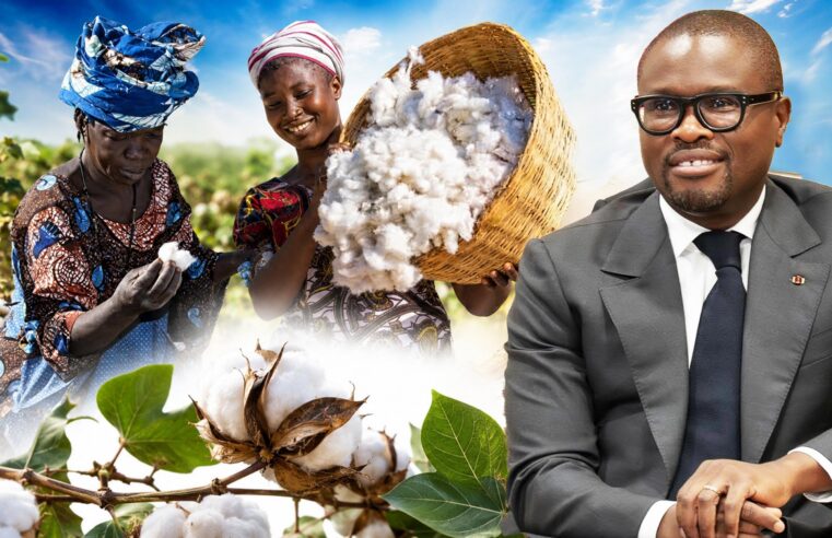 Le Bénin lie prime cotonnière à l&rsquo;atteinte d&rsquo;un seuil de production