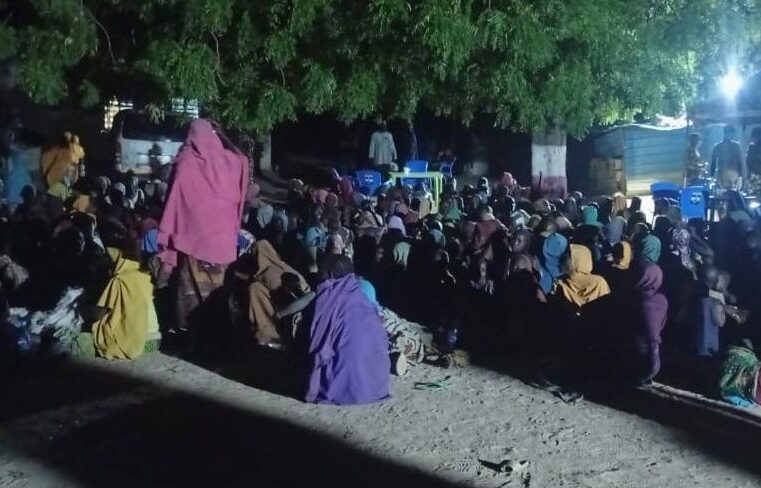 Nigeria: des centaines de captifs de Boko Haram libérés dans le Borno