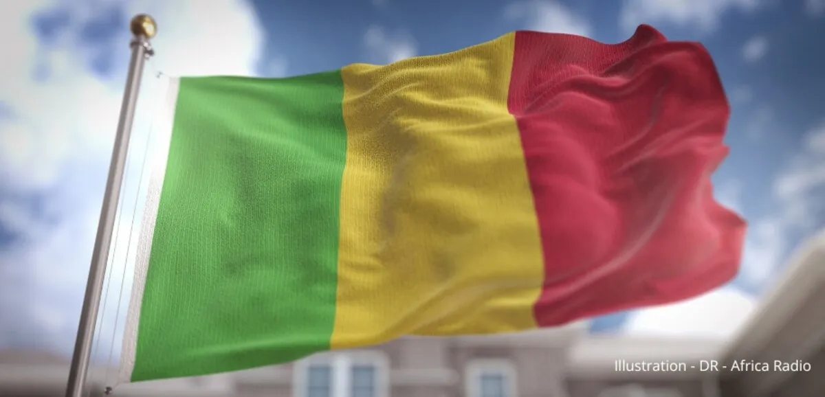 Condamnation d'un agent français au Mali pour atteinte à la sûreté de l'État