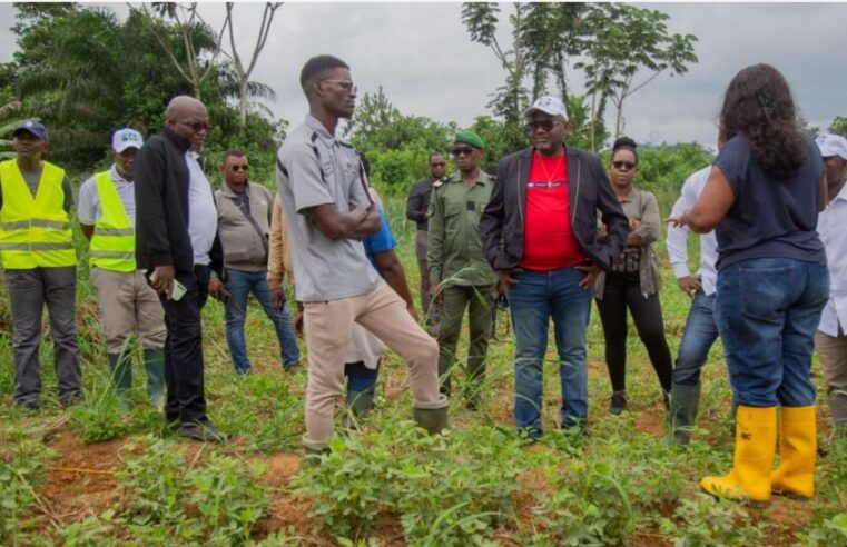 Gabon : la recherche scientifique au service de l&rsquo;autosuffisance alimentaire
