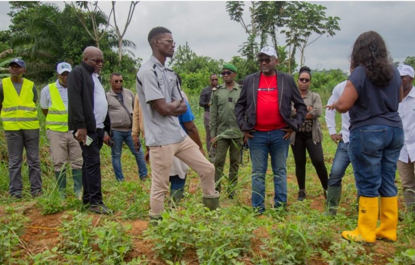 Gabon : la recherche scientifique au service de l&rsquo;autosuffisance alimentaire
