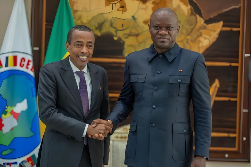 La transition malgache suivie par l&rsquo;expérience gabonaise : un modèle pour la coopération régionale