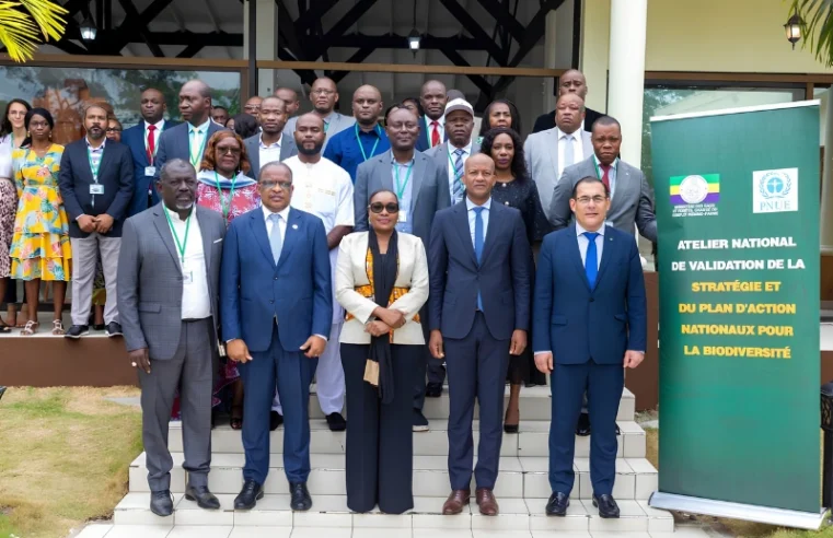 Gabon adopte sa nouvelle feuille de route pour la biodiversité