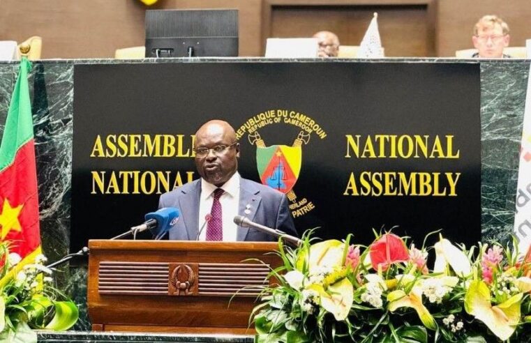 Le Gabon reprend sa place dans la Francophonie parlementaire