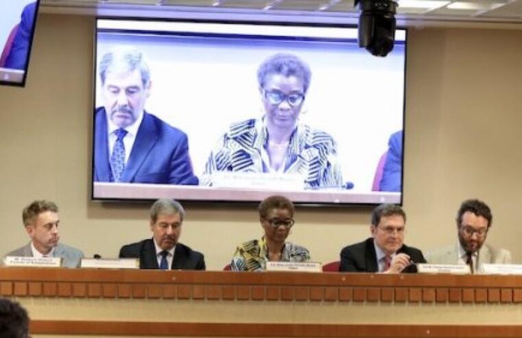 Le Gabon plaide pour une révolution des mécanismes mondiaux de financement climatique