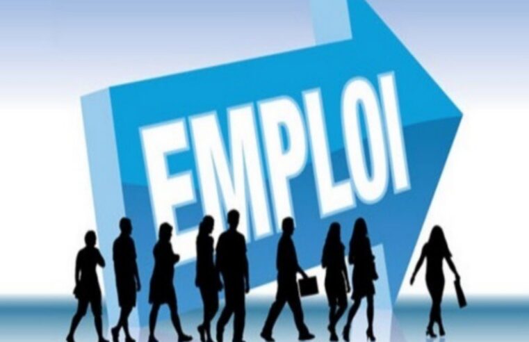Emploi au Togo : les compétences clés pour réussir dans le marché du travail en 2026