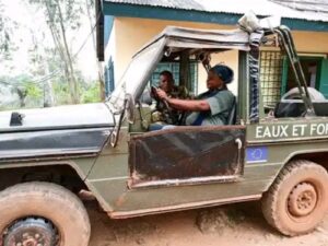 CENTRAFRIQUE : les centrafricains qui utilisent les méthodes Wagner sans payer les taxes d&rsquo;abattage
