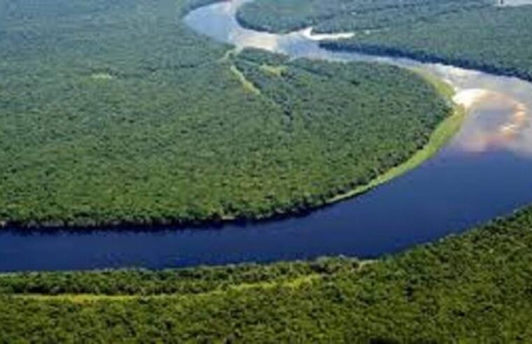 Forum africain de l&rsquo;eau à N&rsquo;Djamena : la rdc face aux enjeux de l&rsquo;or bleu congolais