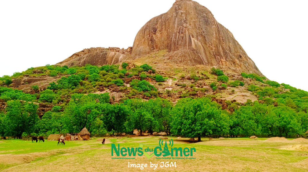 Tourisme au Cameroun : décennie de déclin et pertes abyssales