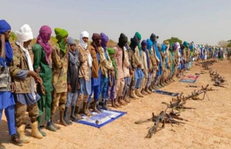 Mali : le jnim intensifie ses attaques dans le centre malgré la junte