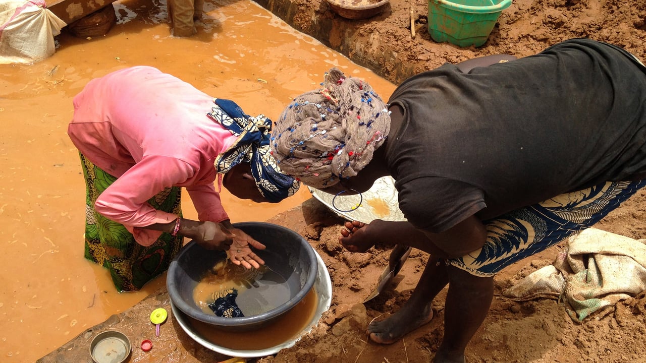 L&rsquo;or camerounais : ces milliards qui échappent à l&rsquo;État