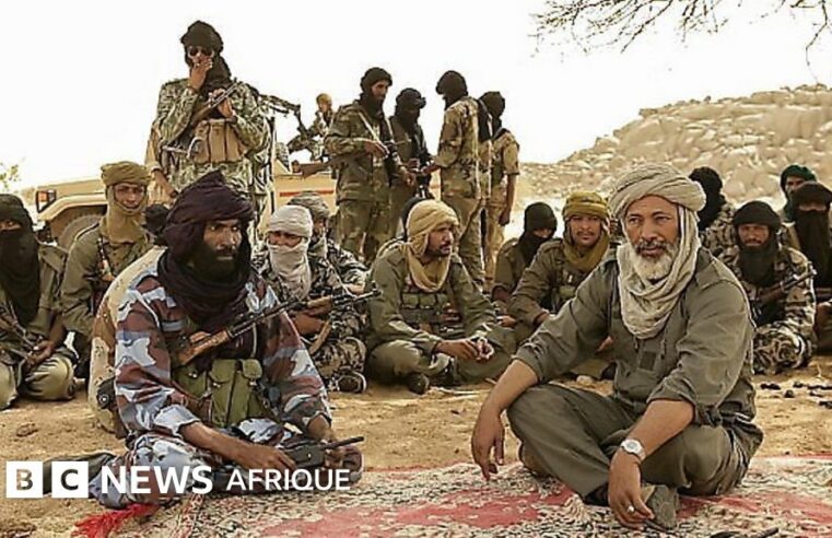 Mouvements touaregs et arabes au Mali : qui sont les fla et leurs alliés