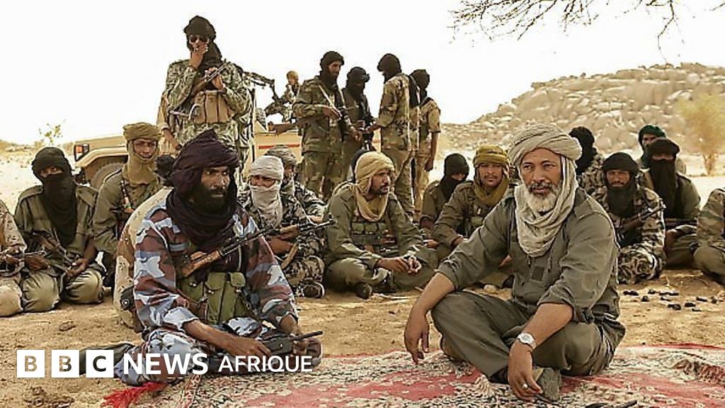 Mouvements touaregs et arabes au Mali : qui sont les fla et leurs alliés