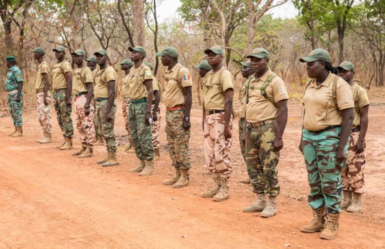 Tchad : interdiction du port de tenues militaires par les agents des eaux et forêts
