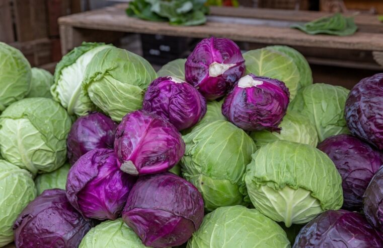 Prix des légumes à Niamey : pourquoi les ménages paient-ils le prix fort ?