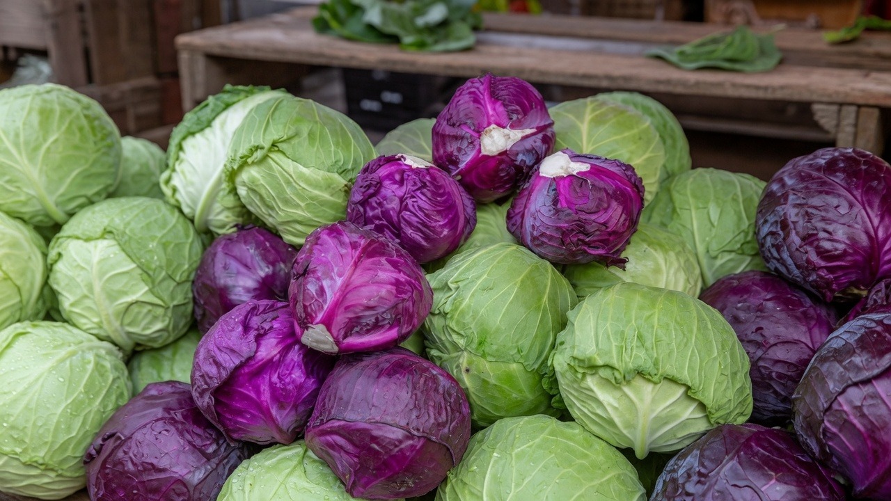 Prix des légumes à Niamey : pourquoi les ménages paient-ils le prix fort ?