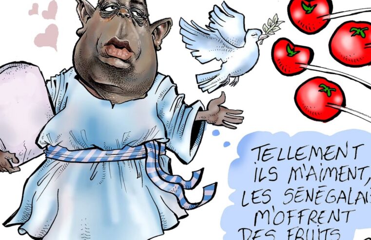 Macky sall et bassirou diomaye faye : les tensions qui divisent le Sénégal