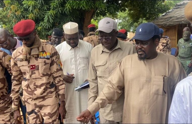 Tchad : au Moyen-Chari, 247 armes saisies lors des opérations de désarmement