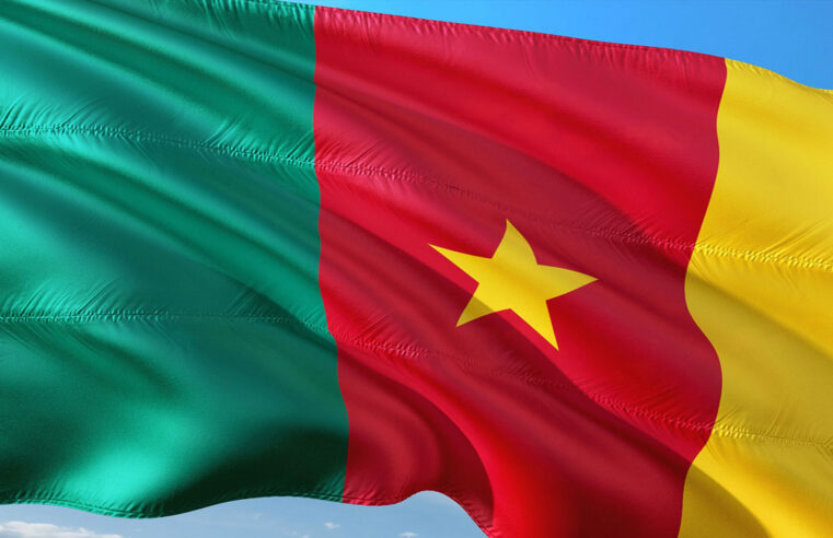 Pourquoi le Cameroun reste absent de la vague du « Visa Free » en Afrique