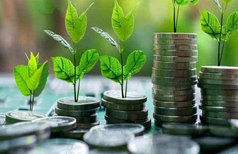 Maroc : vers une finance durable grâce à sa taxonomie verte ambitieuse