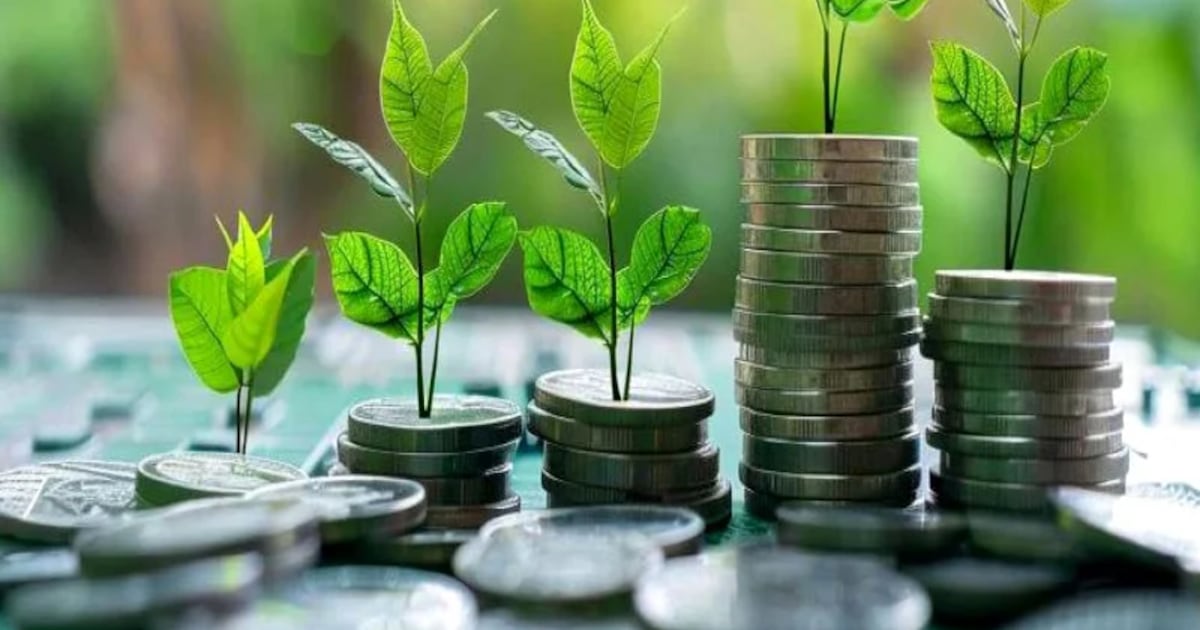 Maroc : vers une finance durable grâce à sa taxonomie verte ambitieuse