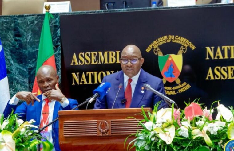 RDC : Sama Lukonde défend le rôle écologique du pays à l&rsquo;APF de Yaoundé
