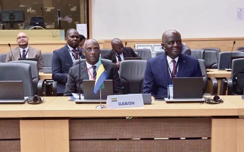 ambassadeur Gabon ministre économie rencontre