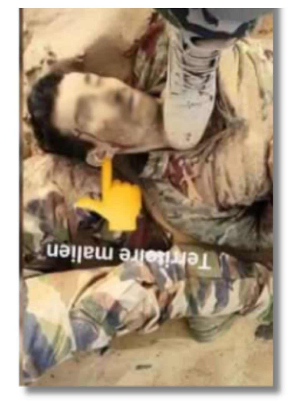 Nous avons cherché à retrouver l'image de l'homme en tenue militaire qui apparaît dans les posts de propagande. Nous avons changé l'orientation de l'image et son visage a été flouté par la suite.