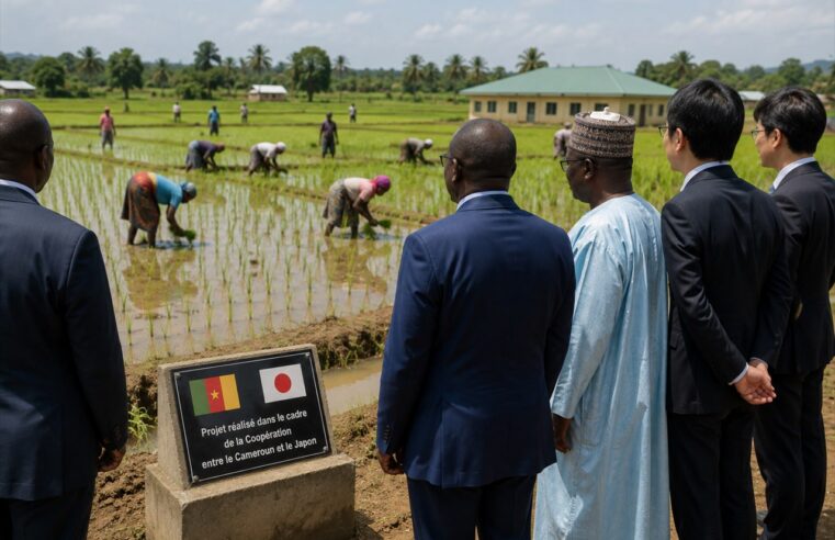 Le Japon injecte plus de 646 millions de dollars dans l&rsquo;économie du Cameroun