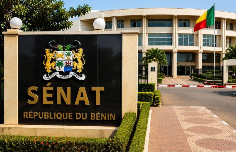 Bénin : comprendre la séparation des pouvoirs après l&rsquo;installation du Sénat