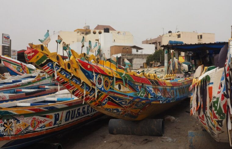 Sénégal : le commerce extérieur sous le signe de la volatilité en 2024